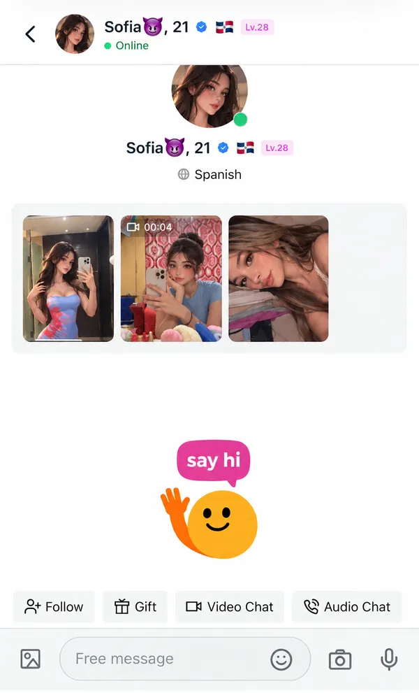 A new Yapchat chat with a girl who is online: a "say hi" prompt, a message box and buttons for audio and video chat